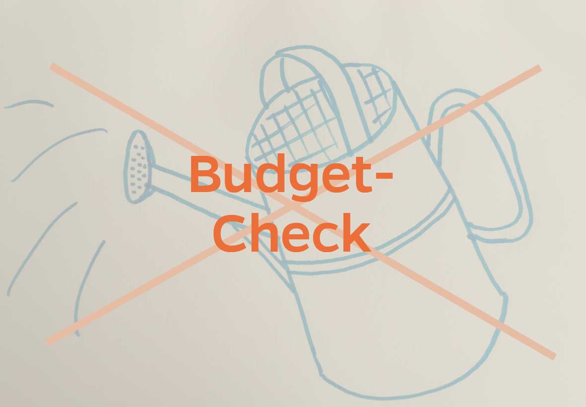Budget-Check